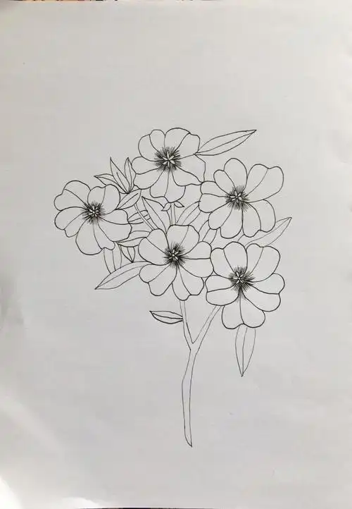 鱼儿爱禅绕凤仙花