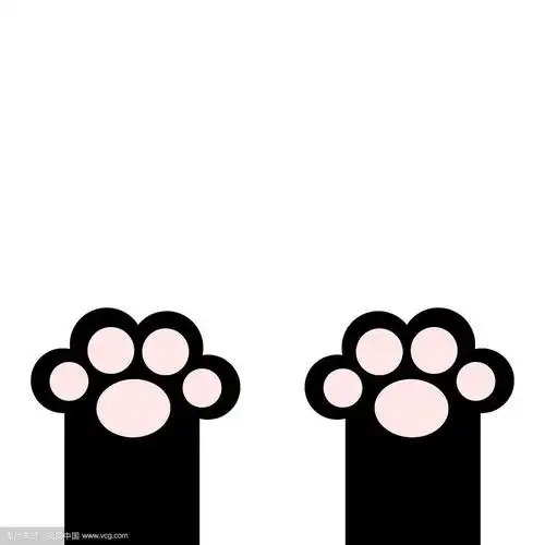 黑猫爪印腿脚,粉色脚垫可爱