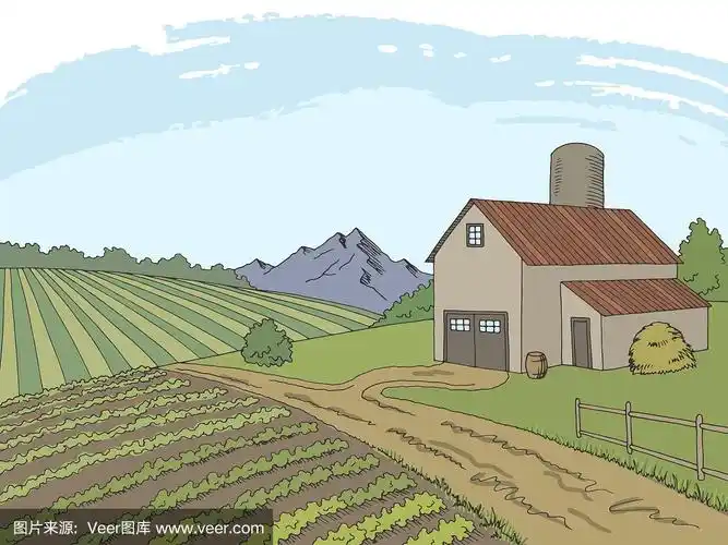 农田图形色彩素描景观插图向量