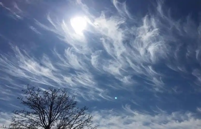 燕子低飞蛇过道,大雨不久要来到