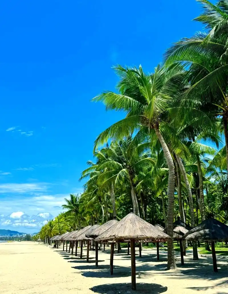 🌊 🎉想要体验一次难忘的海南5日游吗?