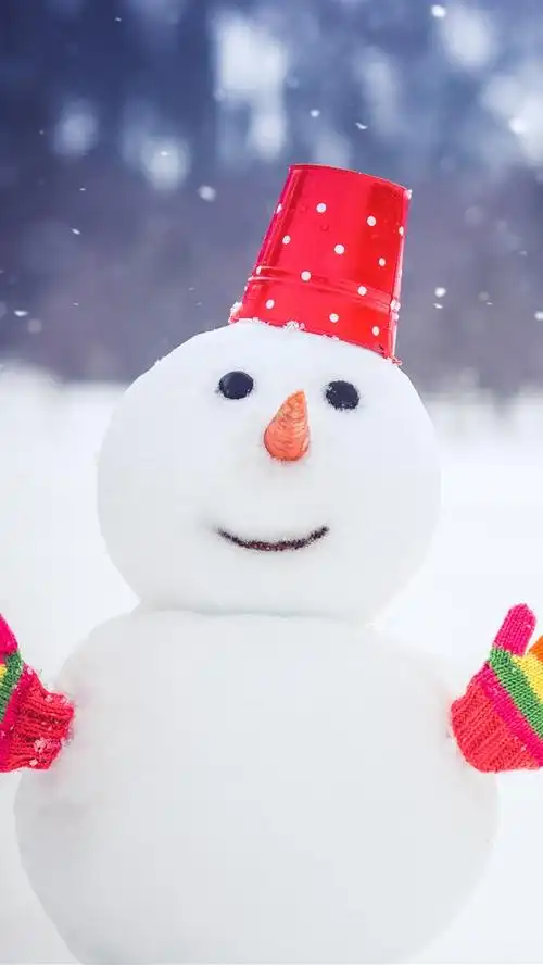 雪人,五颜六色的手套,雪,冬天 1125x2436 iphone 11 pro/xs/x 壁纸,图