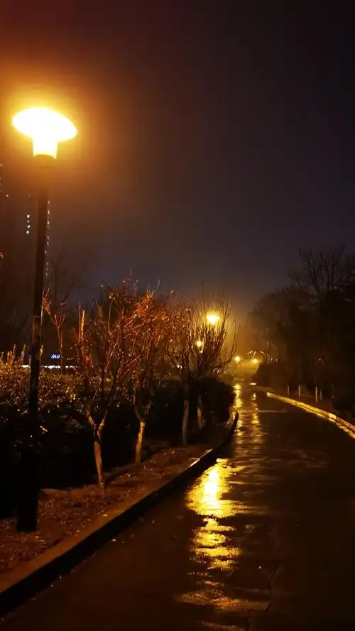 下雨的夜晚