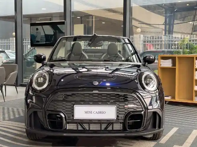 minicabriocoopers黑标特别版