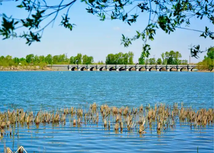 长春市北湖湿地公园的春天来了!(摄制:老黄.2018,5,10)