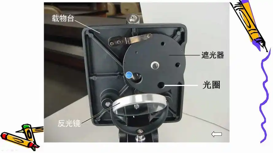 显微镜的使用和细胞学说(生物)