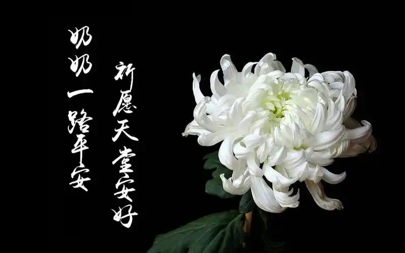 活动  【苏小鱼】最爱我的奶奶走了|她没有看到我穿婚纱的样子|我想你