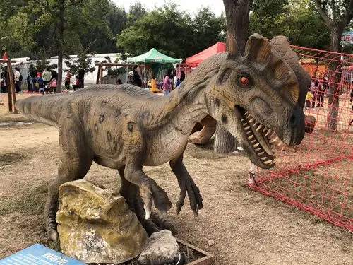 让我们喜出望外,大孙子特别拉风,拽着它的大耳朵转上一圈,藏