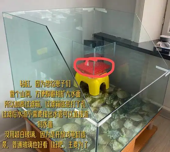 自制水陆龟缸不完全教程