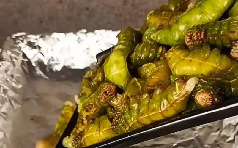 【黑暗料理】烤大青虫,贼啦香