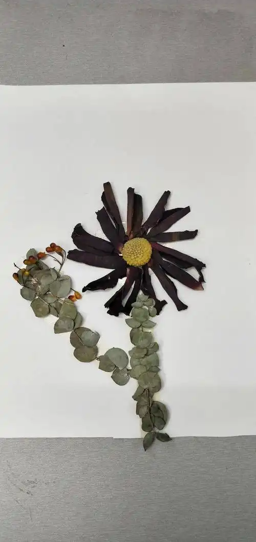 "年花再生·绿色同行"|2021年华洲街环保干花贴画比赛投票开始啦,快来