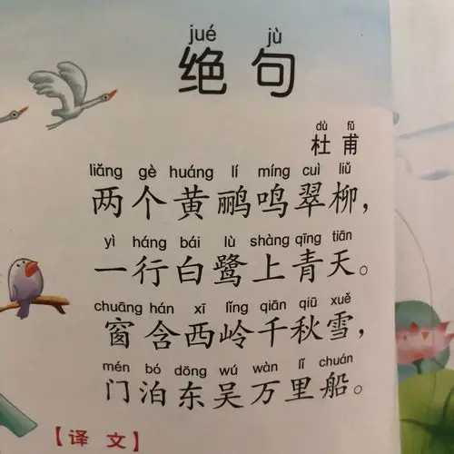 中二班周总结