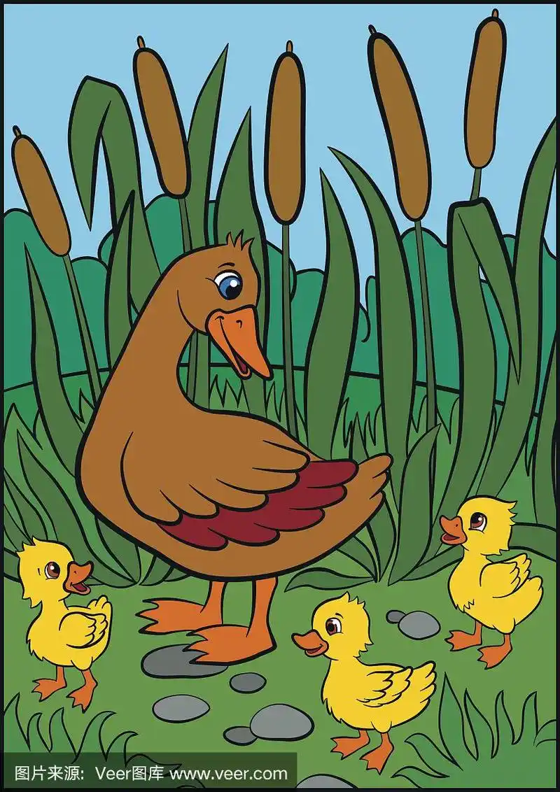 小鸭子,母亲,小的,可爱的,鸭子