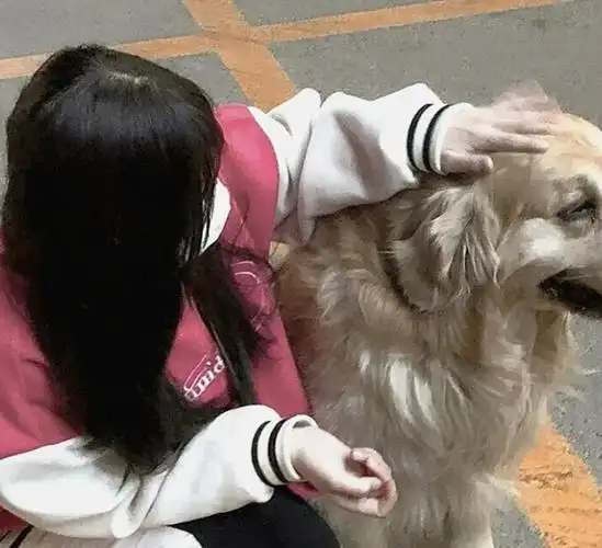 "很适合美女使用的绝美头像"_腾讯新闻