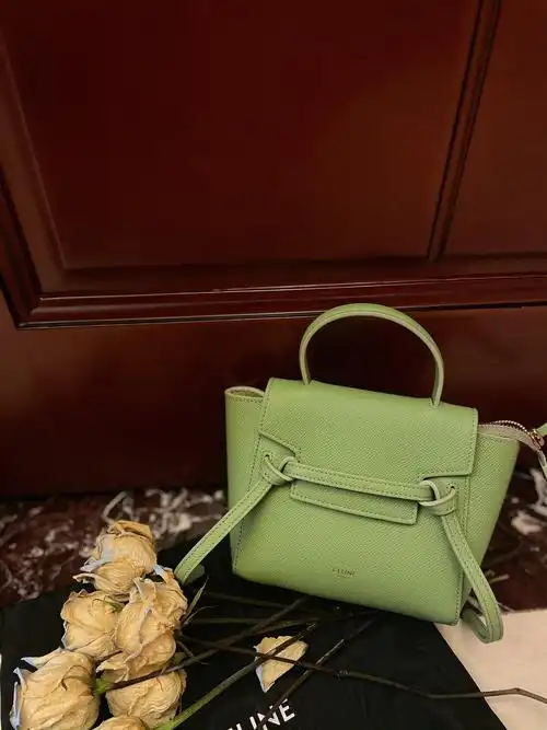 celinepico鲶鱼包早春新色