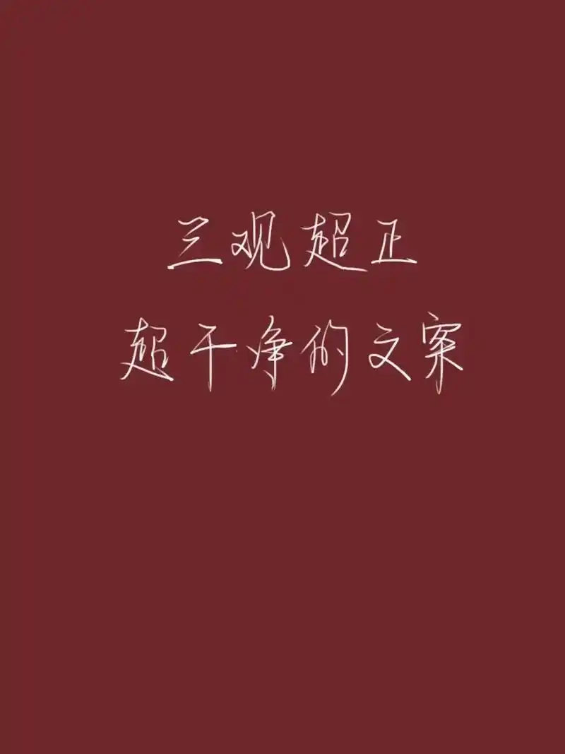 好句摘抄三观超正超千净的文案温柔治愈