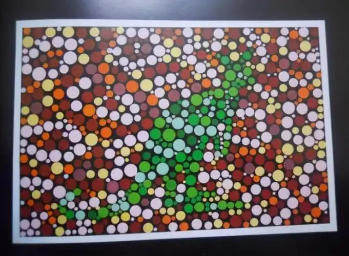 驾驶员考试专用色盲图若你连3张都认不出来或与驾照无缘了