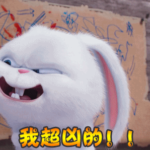 雪球爱宠大机密