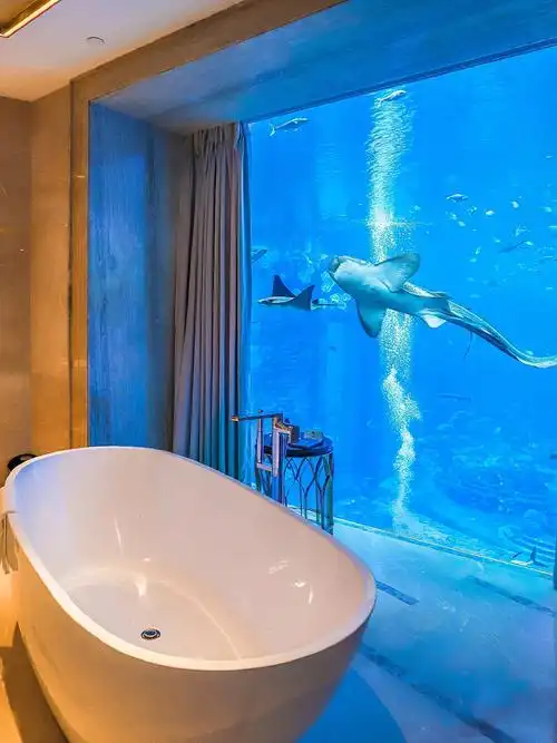 睡进鲨鱼窝里三亚波塞冬每晚10w还一房难求