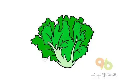 生菜儿童简笔画