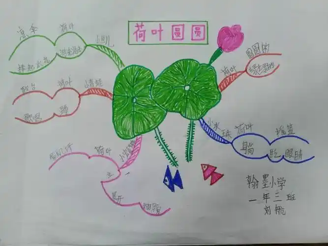 《荷叶圆圆》思维导图