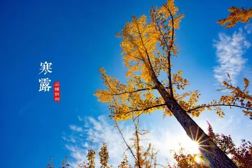 第三届市民文化节非遗知识讲堂二十四节气寒露