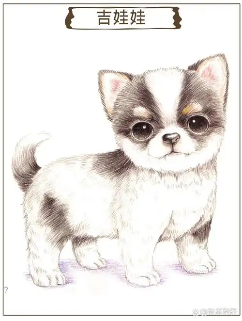 简单易学,彩铅可爱的小动物,请收藏好!