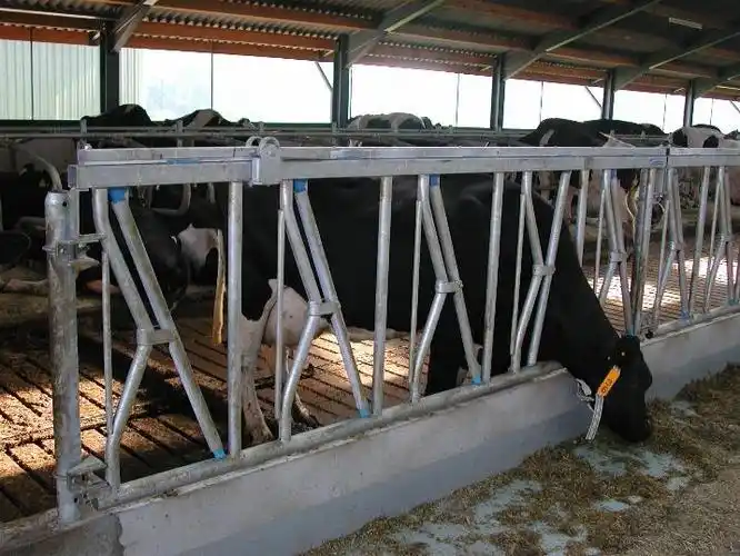 石家庄市金源机械出售牛场牛颈枷/牛卧栏/牛卧床的价格