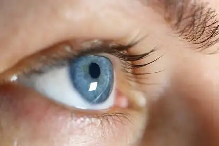 宏特写女性的眼睛.美丽的女人眼照片