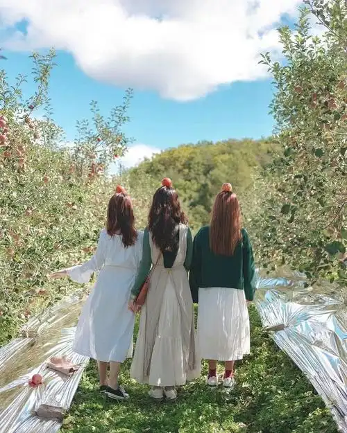 这样拍,每一次跟姐妹旅游我都稳赢|ins|闺蜜|摄影师|风景照_网易订阅