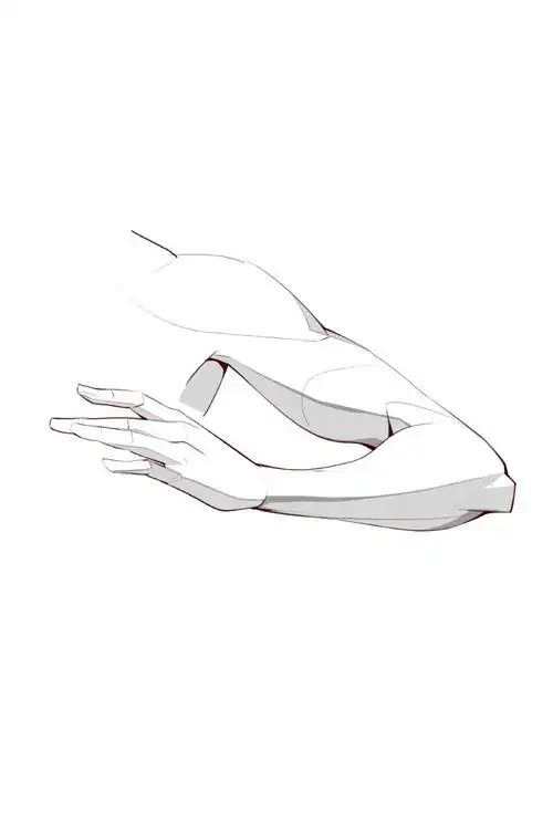 人体结构##绘画参考##速写