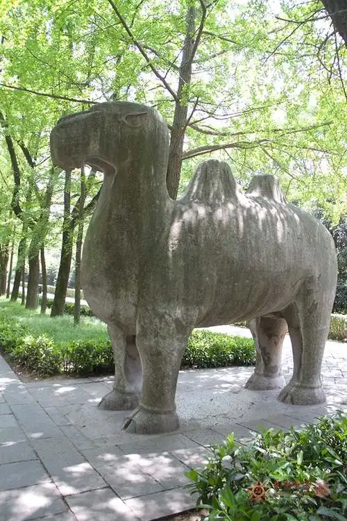 在6 种石兽中,以象为最大,重达 80 吨,当时为了将这些石兽运抵明孝陵