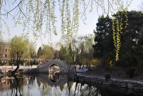 清华园(近春园)