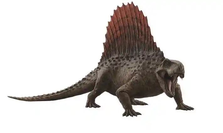 异齿龙是一种低伏于地面,形似鳄鱼的恐龙,背部长有巨大的褶边背帆,背