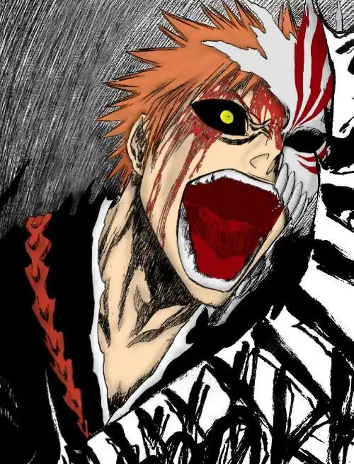 求黑崎一护卍解虚化图和牛头图!