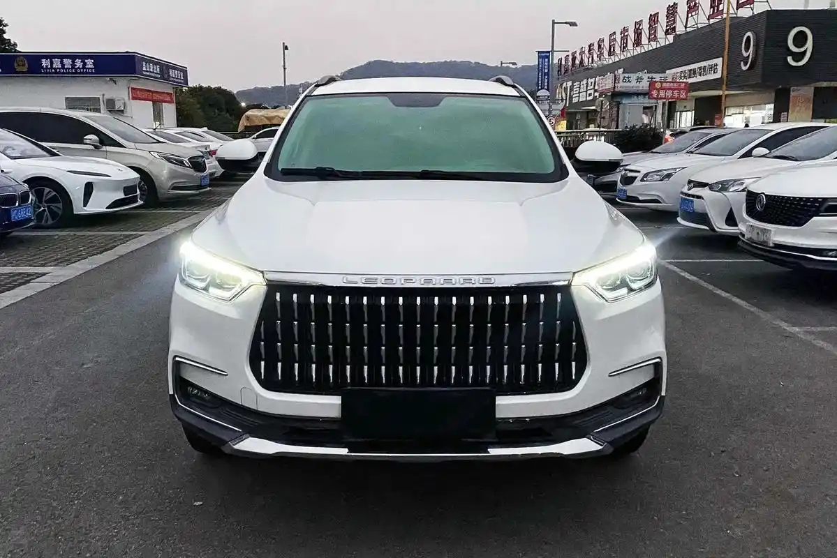 猎豹汽车mattu2020款16