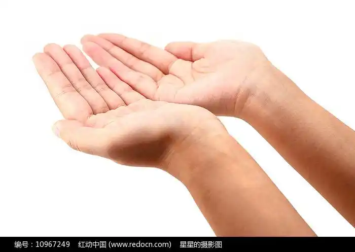 双手接东西动作