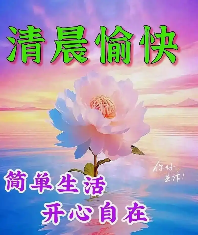 周四早上好,精选早安暖心祝福图片带字带祝福语,温馨早安问候语群发