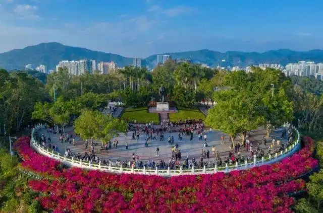 深圳的免费景点有哪些地方?这几处免门票又好玩,快去打卡吧