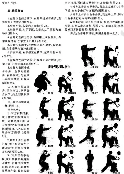 洪洞通背一路快拳 下海擒龙