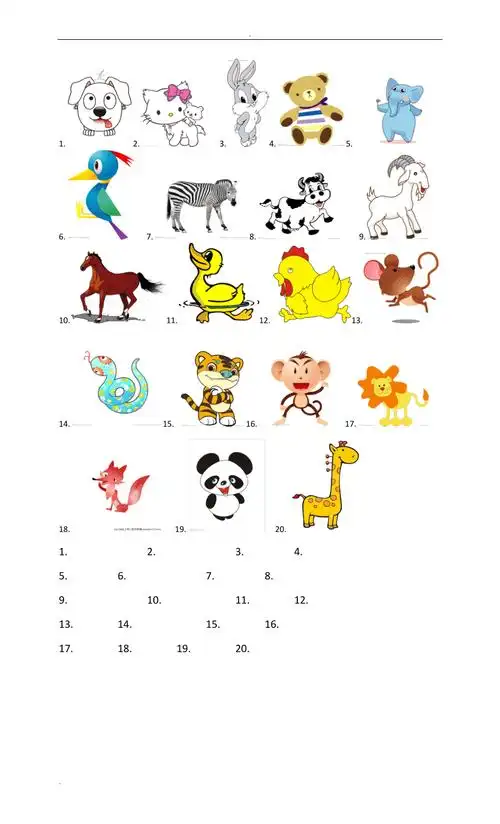 动物图片及名称