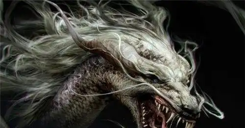 龙是传说吗日本瑞龙寺收藏真龙标本日本专家龙或许不是传说