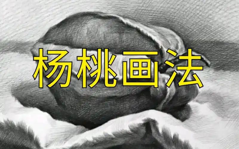 素描静物杨桃的画法北方人很少吃过