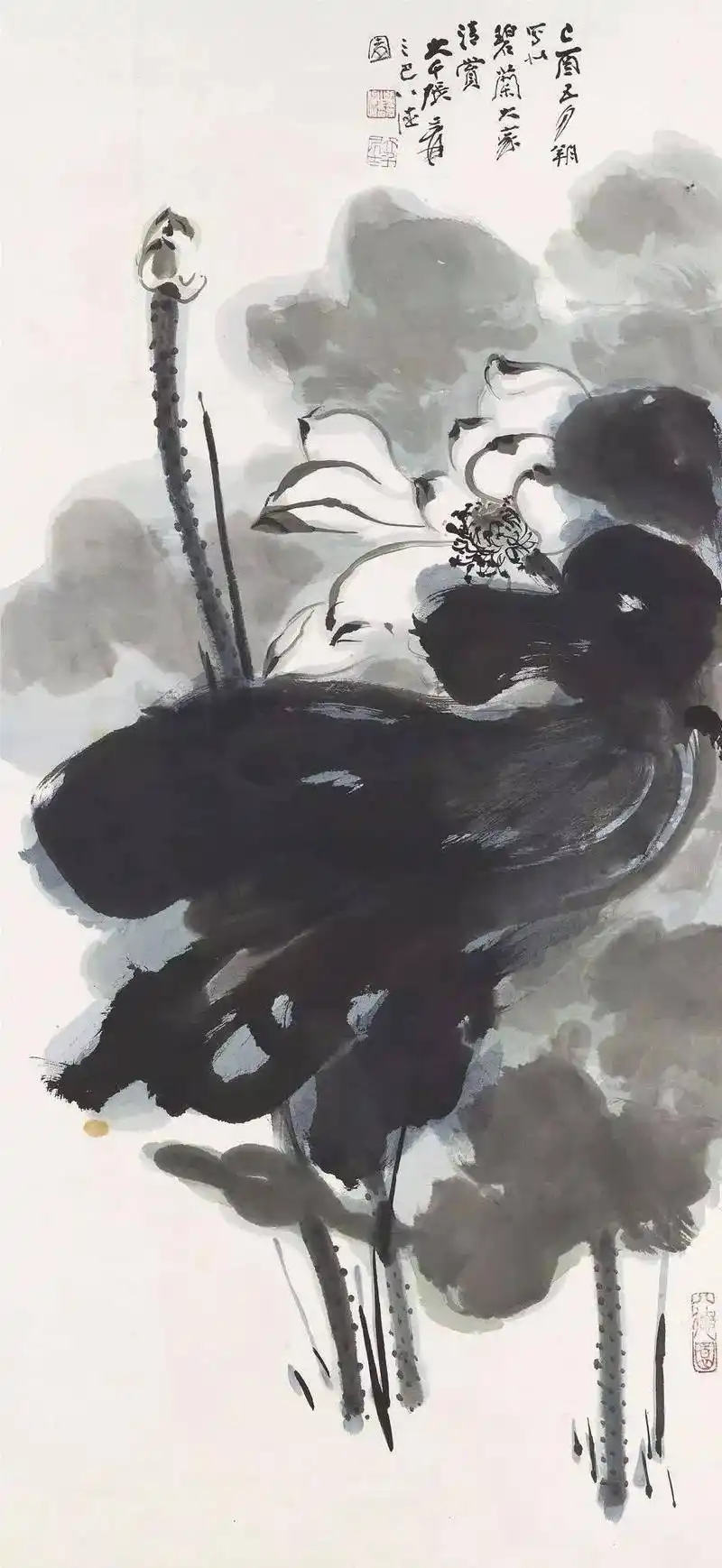 书画家影像网|名家画荷,清凉透心!_荷花