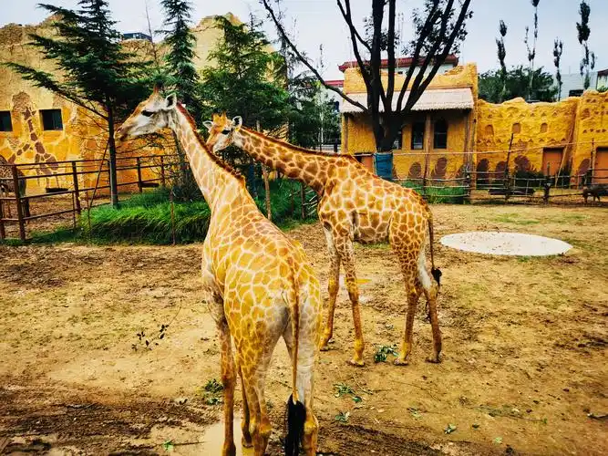 郑州银基动物王国