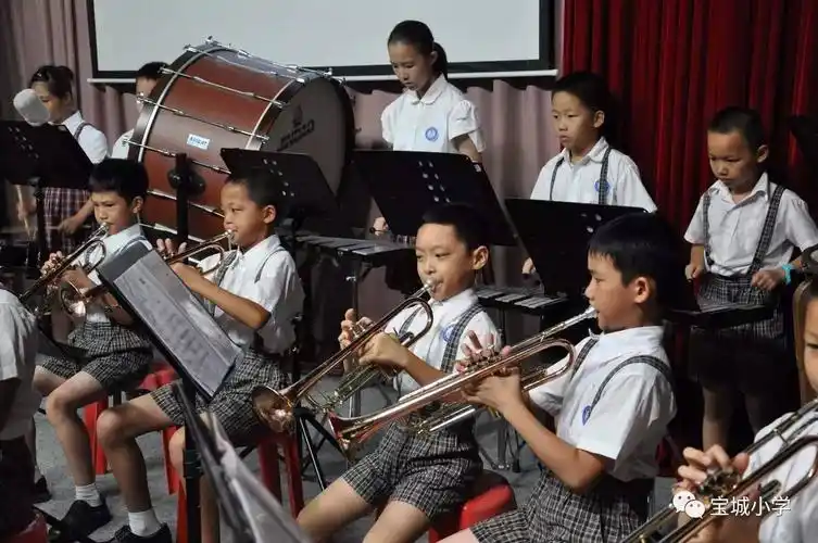 宝城小学缤纷社团巡礼十里桃花不及你万千风情