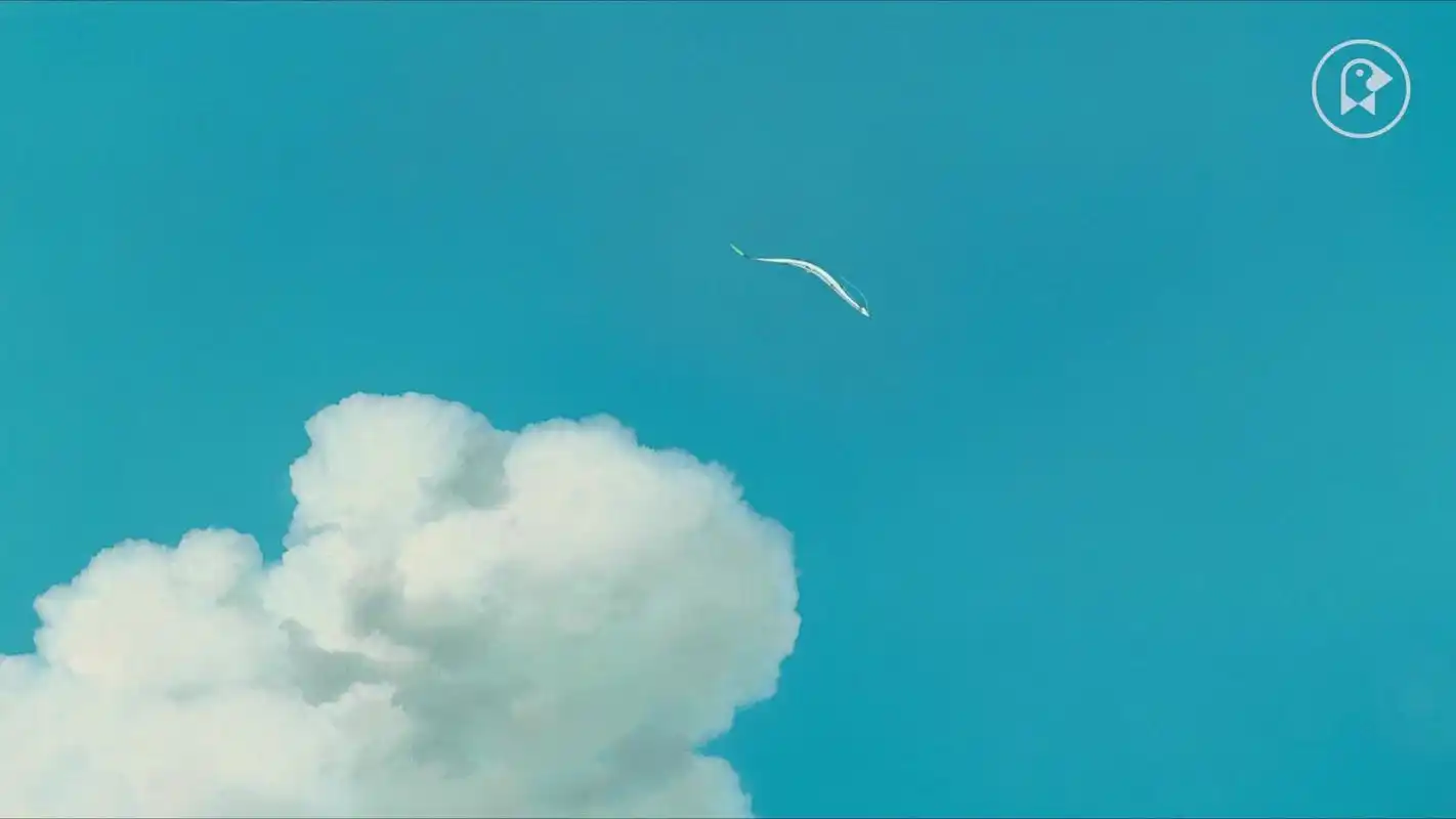 宫崎骏的飞翔之梦贯穿的是他的反战思想1080p