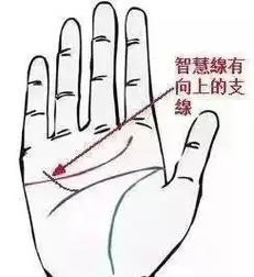 有此"发大财"的手相纹,注定一生是大富大贵的命. - 抖音