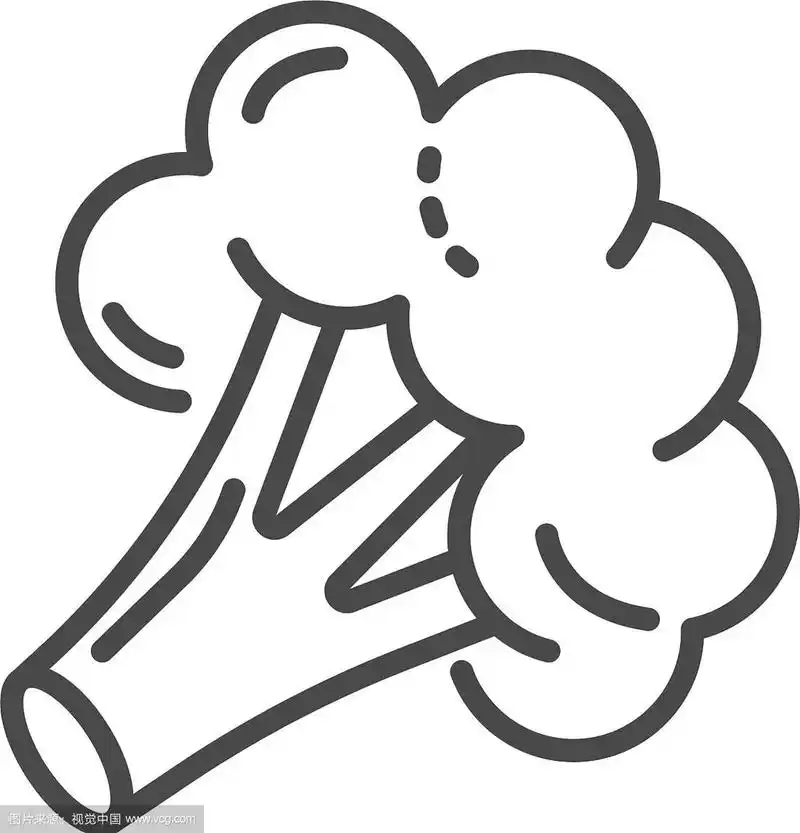 花椰菜图标轮廓风格
