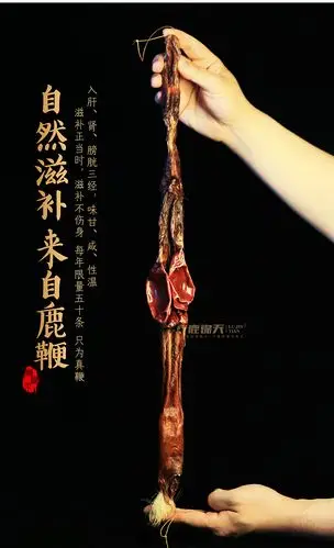 【鹿产品-马鹿鞭】-鹿乃"情场高手"岂止于大